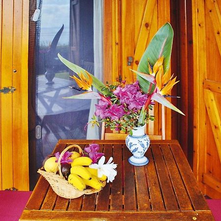 Holiday Homes Quinta Dos Curubas, Vila Franca Do Campo, Sao Miguel, Azores Екстериор снимка