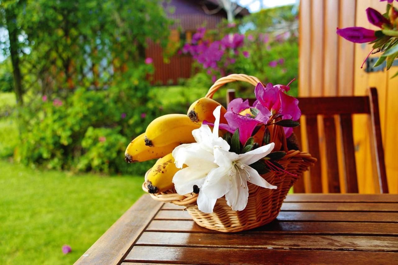 Holiday Homes Quinta Dos Curubas, Vila Franca Do Campo, Sao Miguel, Azores Екстериор снимка