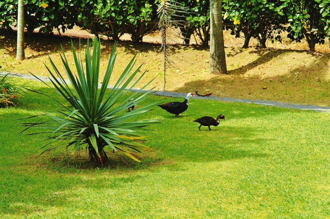 Holiday Homes Quinta Dos Curubas, Vila Franca Do Campo, Sao Miguel, Azores Екстериор снимка