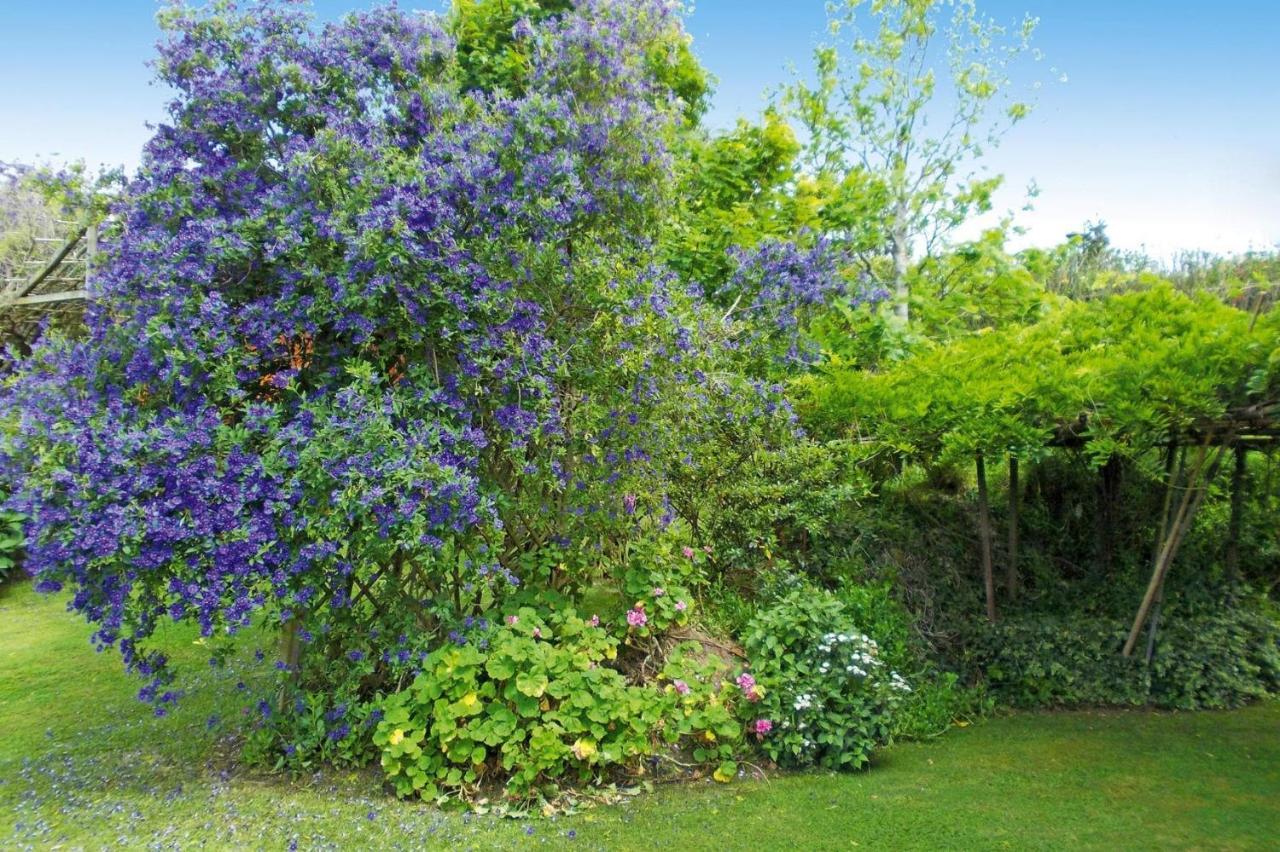 Holiday Homes Quinta Dos Curubas, Vila Franca Do Campo, Sao Miguel, Azores Екстериор снимка