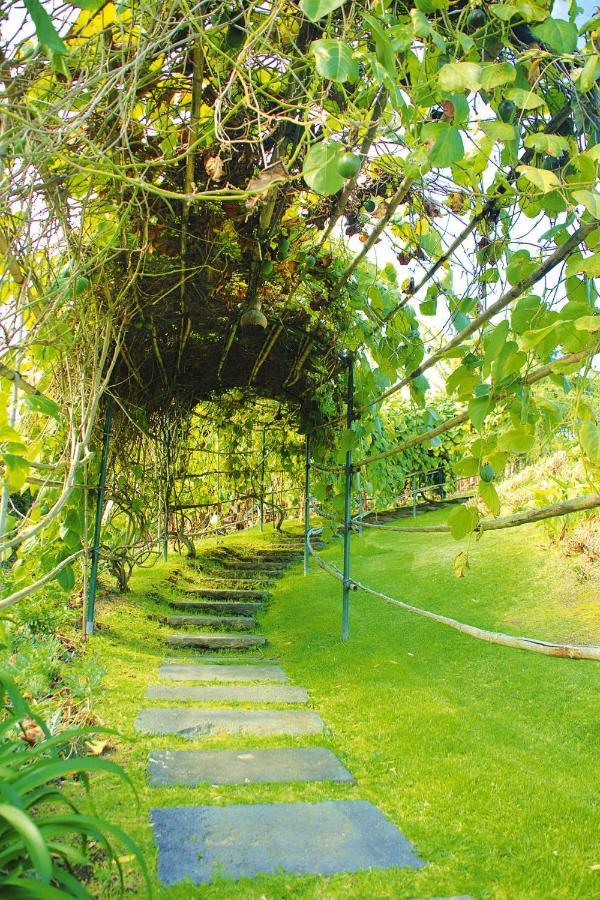 Holiday Homes Quinta Dos Curubas, Vila Franca Do Campo, Sao Miguel, Azores Екстериор снимка